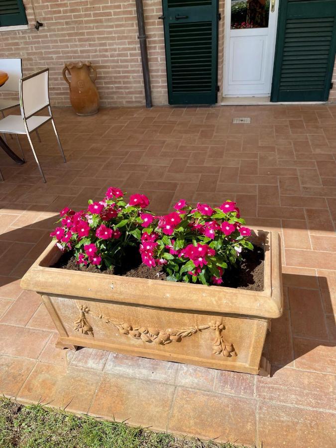 Apartmán La Posta Di Bacco Gualdo Cattaneo Exteriér fotografie